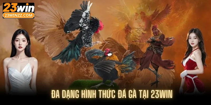 Top 3 thể loại đá gà phổ biến tại 23win