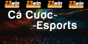 Trang cá cược esport được nhiều thành viên yêu thích